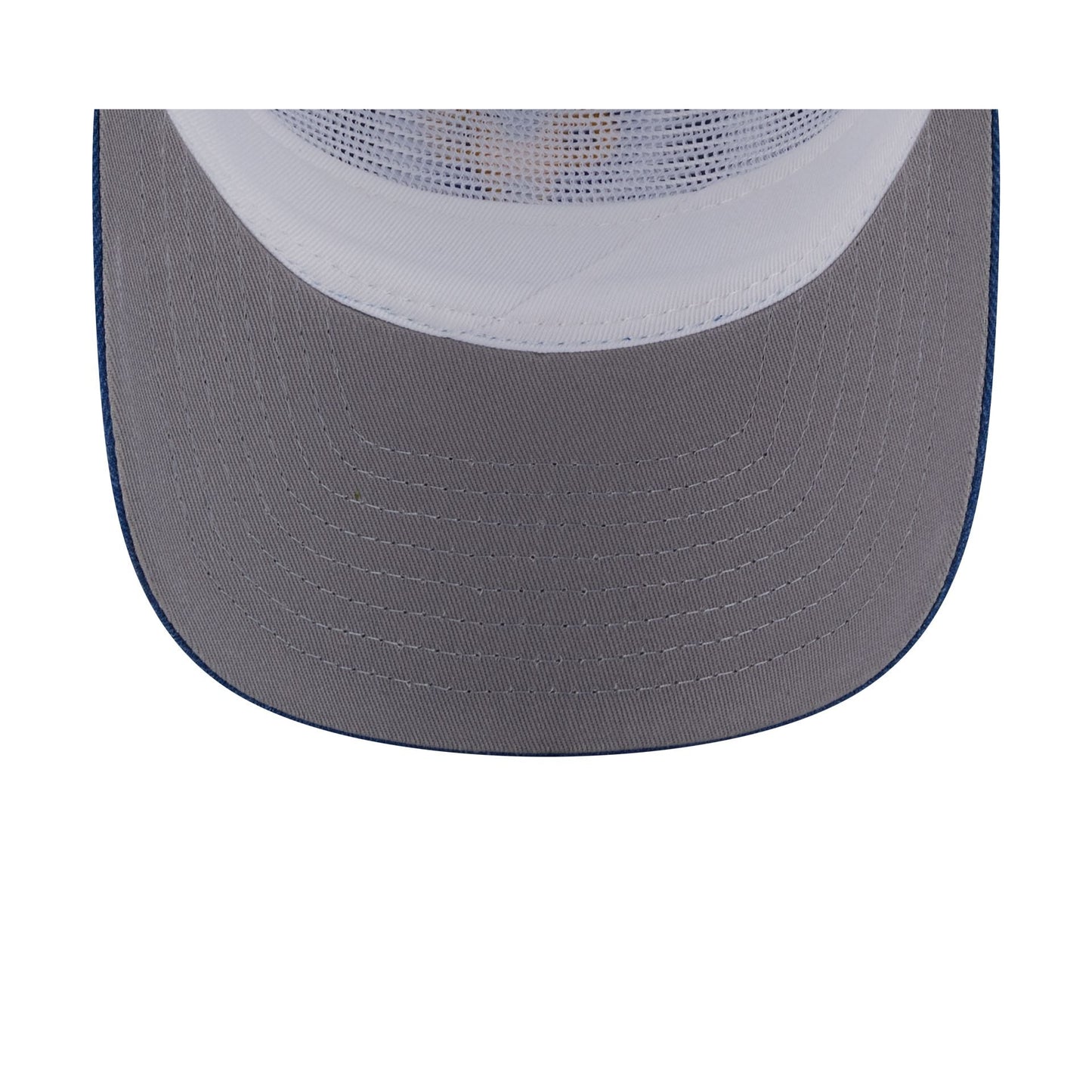 Chicago Cubs Herringbone Team Colors 19TWENTY Trucker Hat